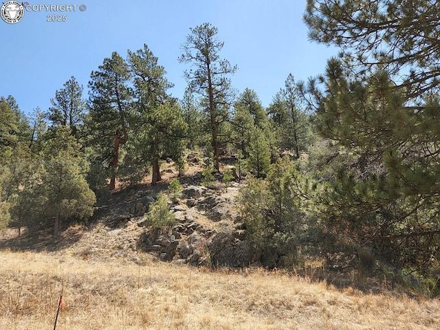 1314 Arnold Dr, Texas Creek CO, 81223 land for sale