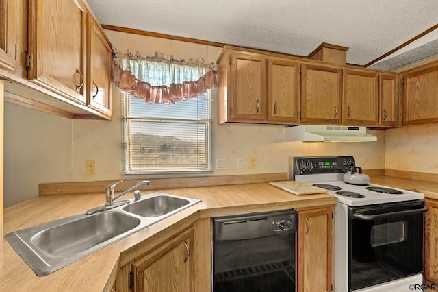 kitchen featuring electric stove, dishwasher, sink, and a textured ceiling