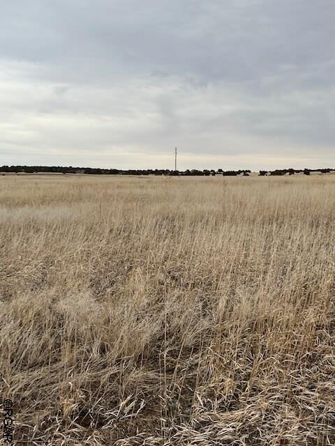 LOT368 Las Animas Way, Colorado City, CO 81019 - photo 13
