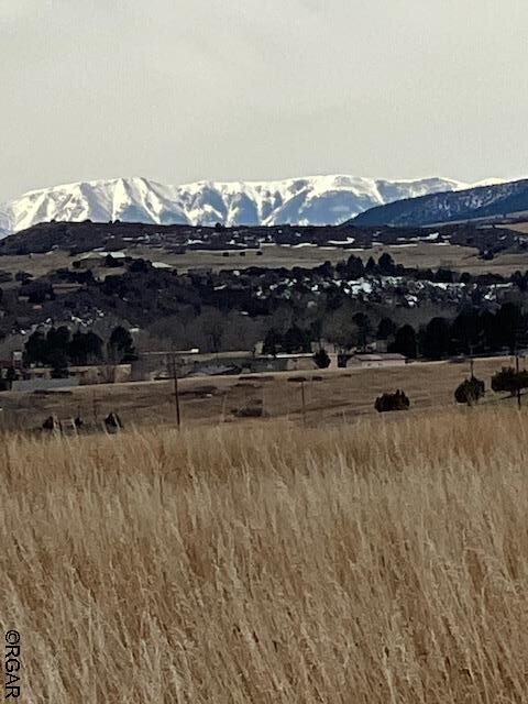 LOT368 Las Animas Way, Colorado City CO, 81019 land for sale