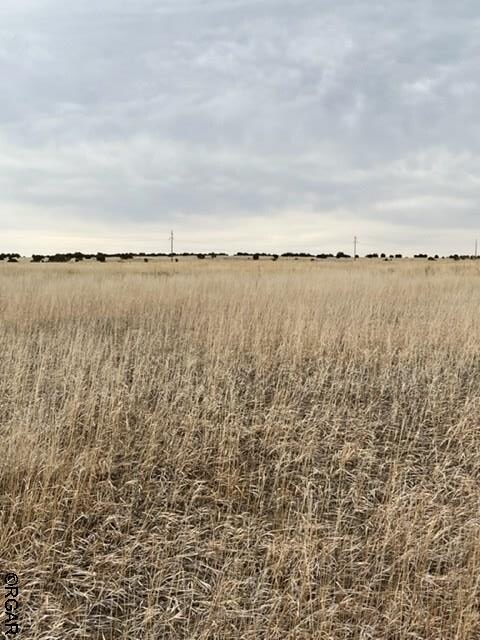 LOT368 Las Animas Way, Colorado City, CO 81019 - photo 14