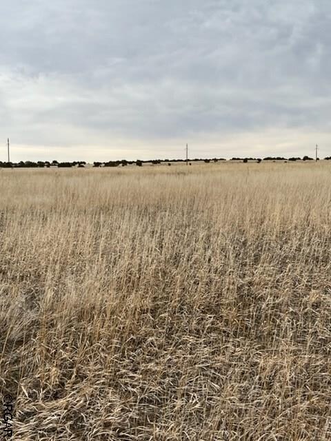 LOT368 Las Animas Way, Colorado City, CO 81019 - photo 16