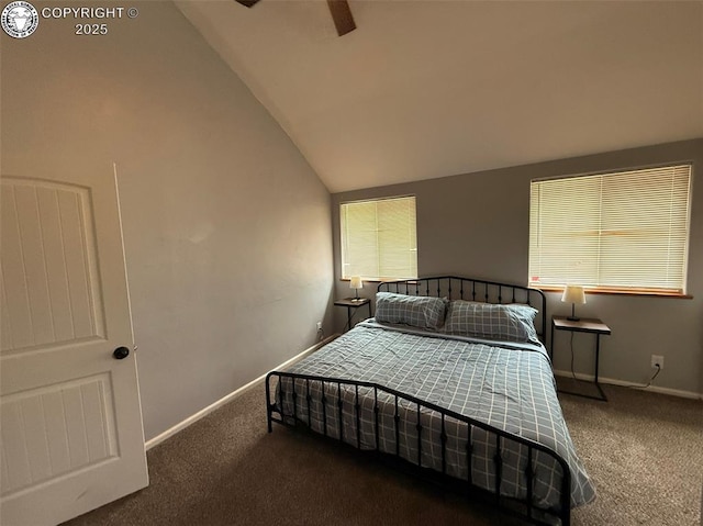 805 Ussie Ave, Canon City, CO 81212 - photo 16