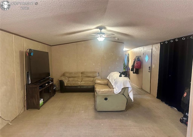 2795 Elizabeth Ave Unit 22, Canon City, CO 81212 - photo 6