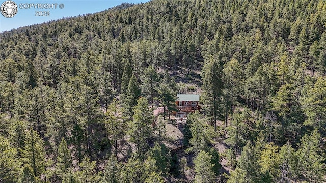 5809 S Tallahassee Trl, Canon City, CO 81212 - photo 38