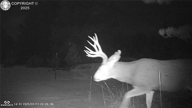 5809 S Tallahassee Trl, Canon City, CO 81212 - photo 7