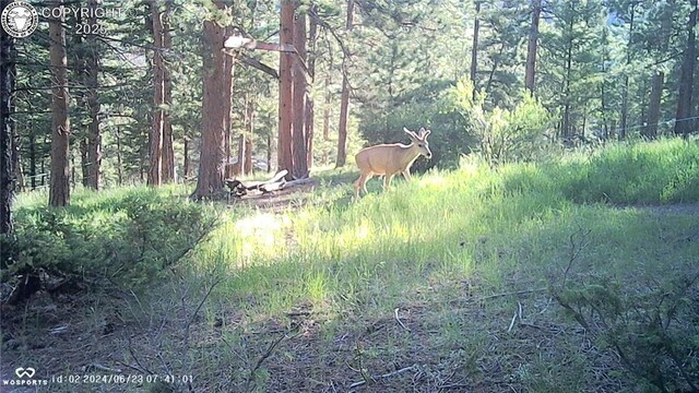 5809 S Tallahassee Trl, Canon City, CO 81212 - photo 9
