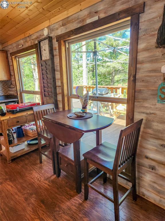 5809 S Tallahassee Trl, Canon City, CO 81212 - photo 18