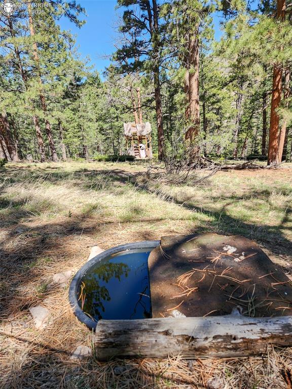 5809 S Tallahassee Trl, Canon City, CO 81212 - photo 27