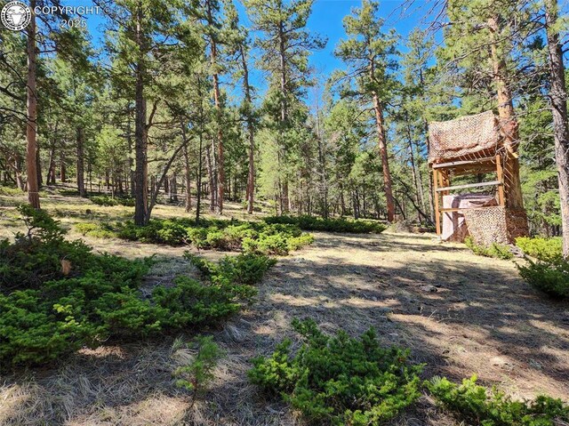 5809 S Tallahassee Trl, Canon City, CO 81212 - photo 30