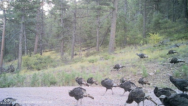 5809 S Tallahassee Trl, Canon City, CO 81212 - photo 4