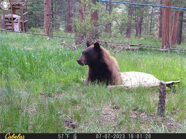5809 S Tallahassee Trl, Canon City, CO 81212 - photo 6