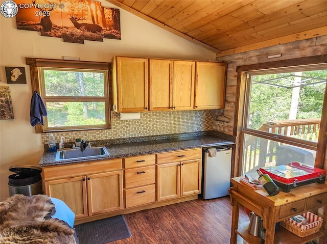 5809 S Tallahassee Trl, Canon City, CO 81212 - photo 20