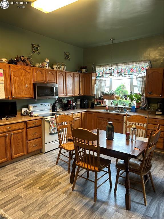 1414 Elm Ave, Canon City, CO 81212 - photo 21
