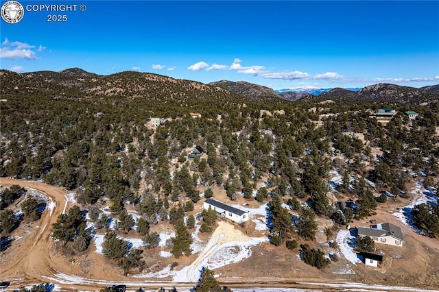 birds eye view of property featuring a mountain view