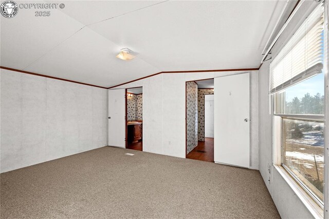 unfurnished bedroom featuring lofted ceiling and carpet floors