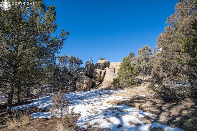 view of snowy landscape