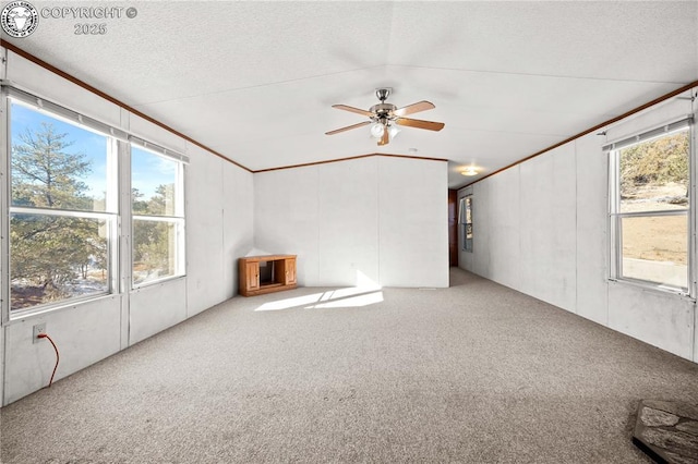 interior space with ceiling fan, carpet floors, and a textured ceiling