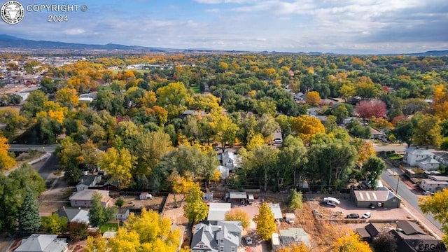 bird's eye view