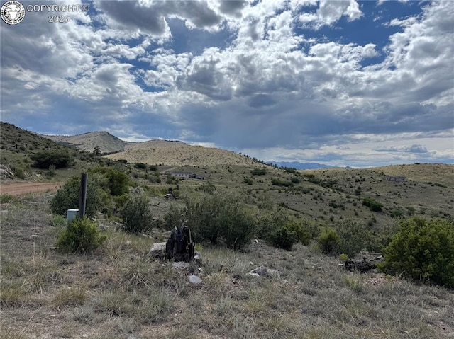 701 Shannon Trl, Cotopaxi, CO 81223