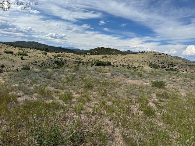 701 Shannon Trl, Cotopaxi, CO 81223