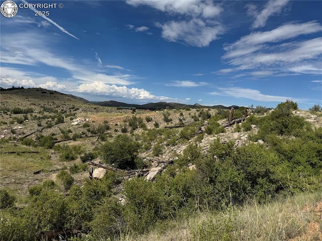 701 Shannon Trl, Cotopaxi, CO 81223