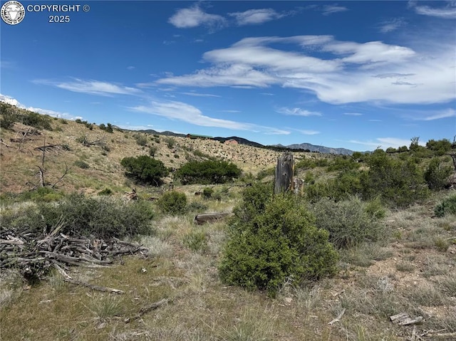 701 Shannon Trl, Cotopaxi, CO 81223