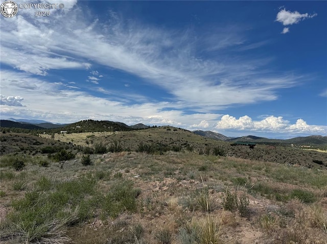 701 Shannon Trl, Cotopaxi, CO 81223