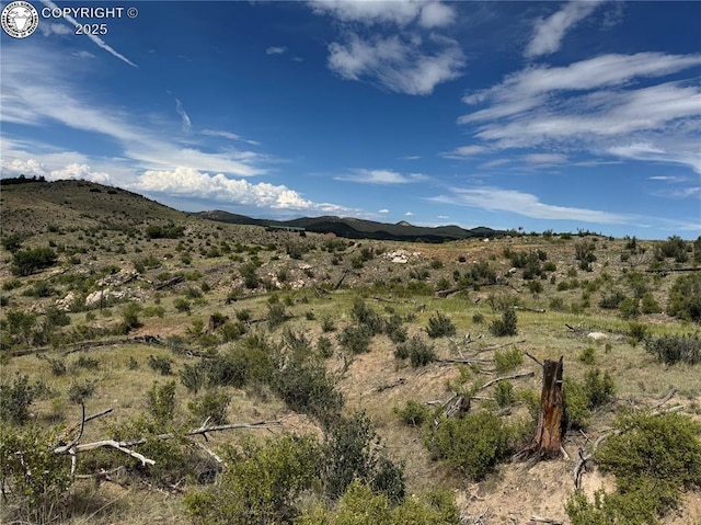 701 Shannon Trl, Cotopaxi, CO 81223