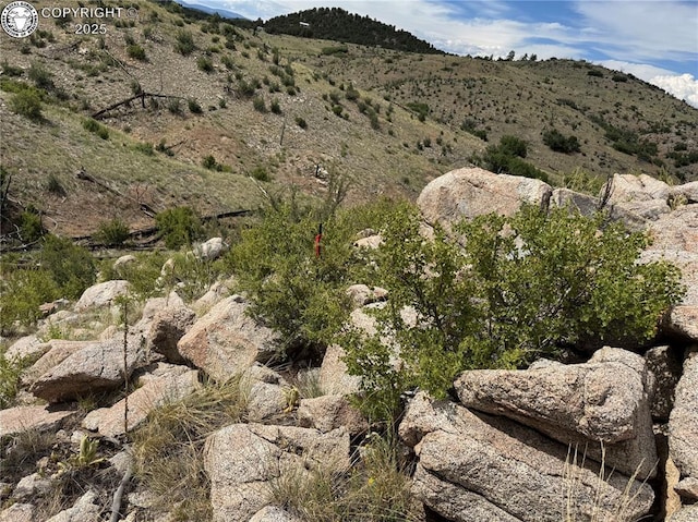 701 Shannon Trl, Cotopaxi, CO 81223