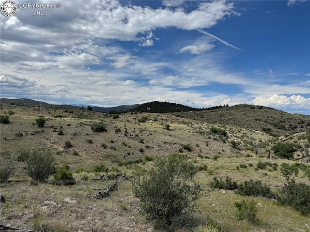 701 Shannon Trl, Cotopaxi, CO 81223