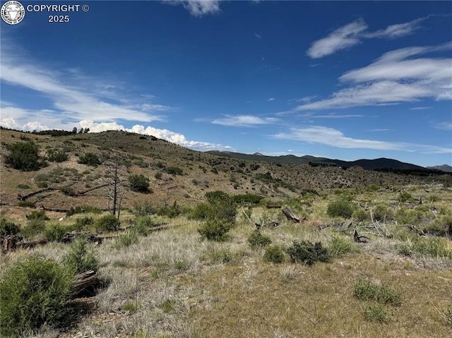 701 Shannon Trl, Cotopaxi, CO 81223