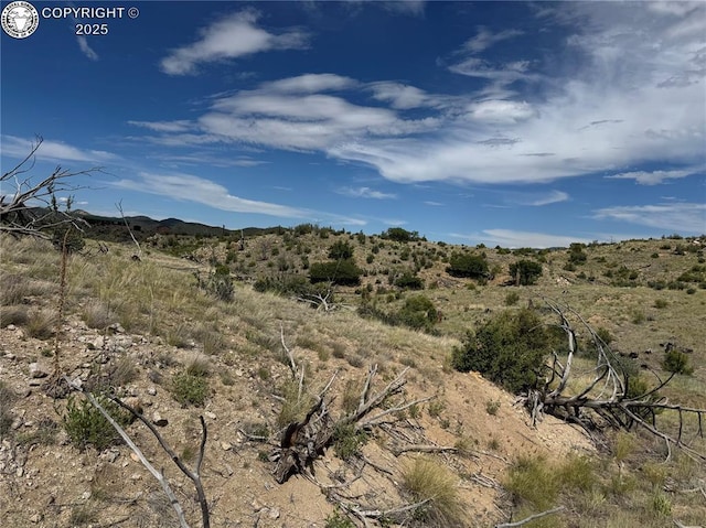 701 Shannon Trl, Cotopaxi, CO 81223