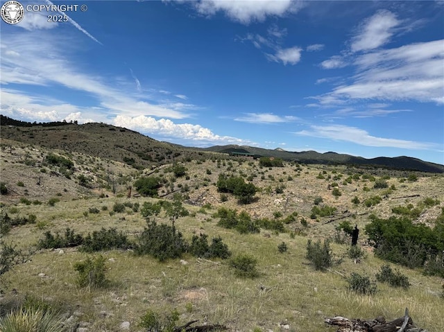 701 Shannon Trl, Cotopaxi, CO 81223