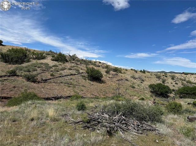 701 Shannon Trl, Cotopaxi, CO 81223