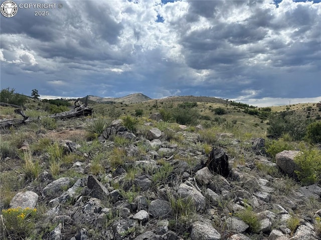 701 Shannon Trl, Cotopaxi, CO 81223