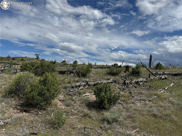 701 Shannon Trl, Cotopaxi, CO 81223