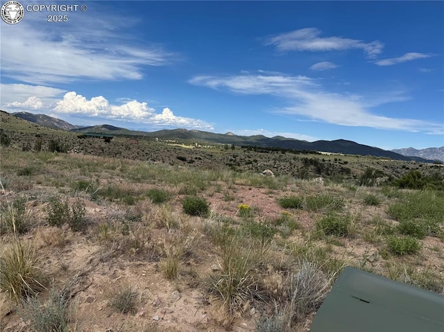 701 Shannon Trl, Cotopaxi, CO 81223