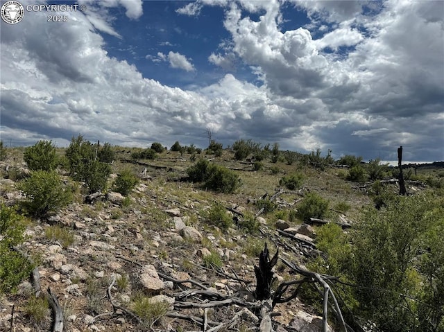 701 Shannon Trl, Cotopaxi, CO 81223