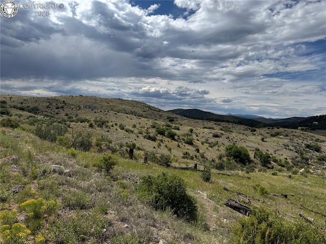 701 Shannon Trl, Cotopaxi, CO 81223