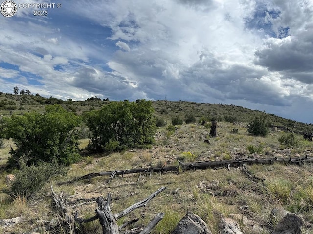 701 Shannon Trl, Cotopaxi, CO 81223