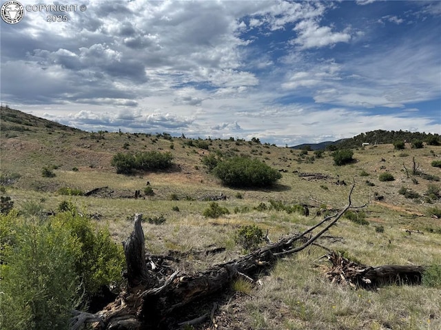 701 Shannon Trl, Cotopaxi, CO 81223