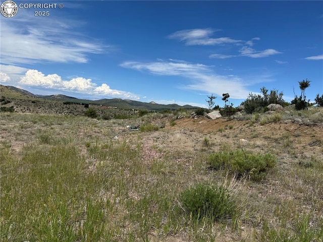 701 Shannon Trl, Cotopaxi, CO 81223