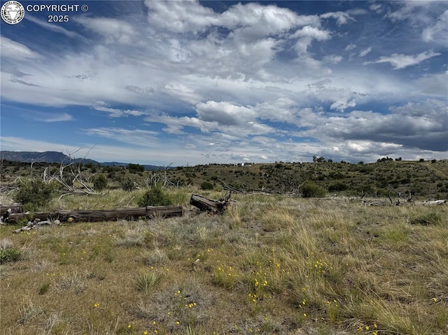 701 Shannon Trl, Cotopaxi, CO 81223