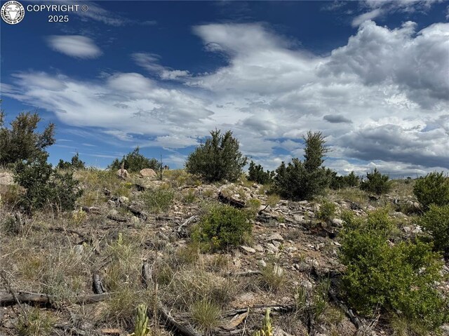 701 Shannon Trl, Cotopaxi, CO 81223