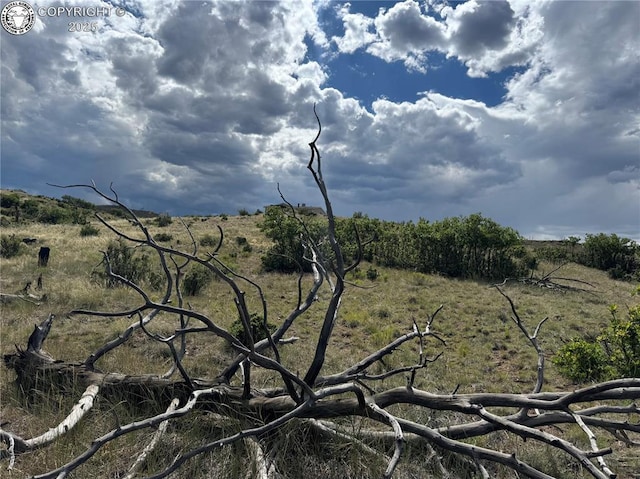 701 Shannon Trl, Cotopaxi, CO 81223