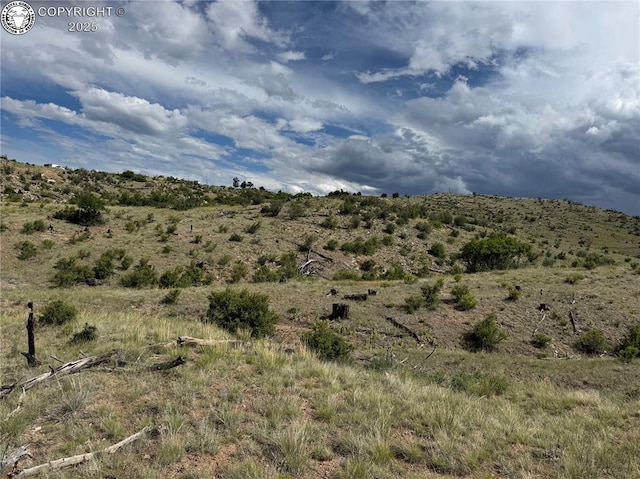 701 Shannon Trl, Cotopaxi, CO 81223
