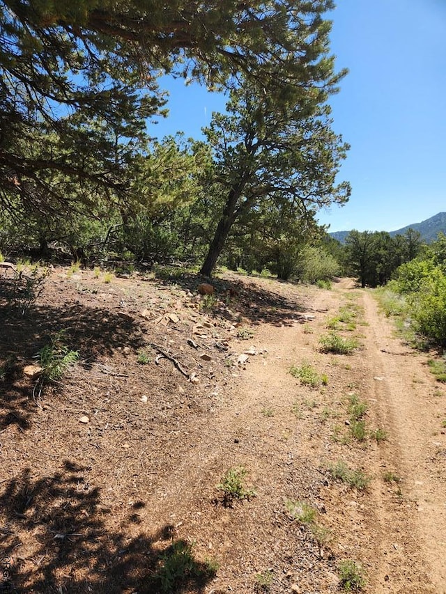 Listing photo 3 for TBDL 9th Trail, Cotopaxi CO 81223