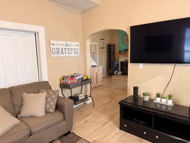 living room featuring light wood-type flooring