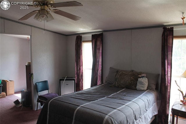 8 Cedar Ridge Rd, Williamsburg, CO 81226 - carpeted bedroom featuring multiple windows, a textured ceiling, a ceiling fan, and ornamental molding